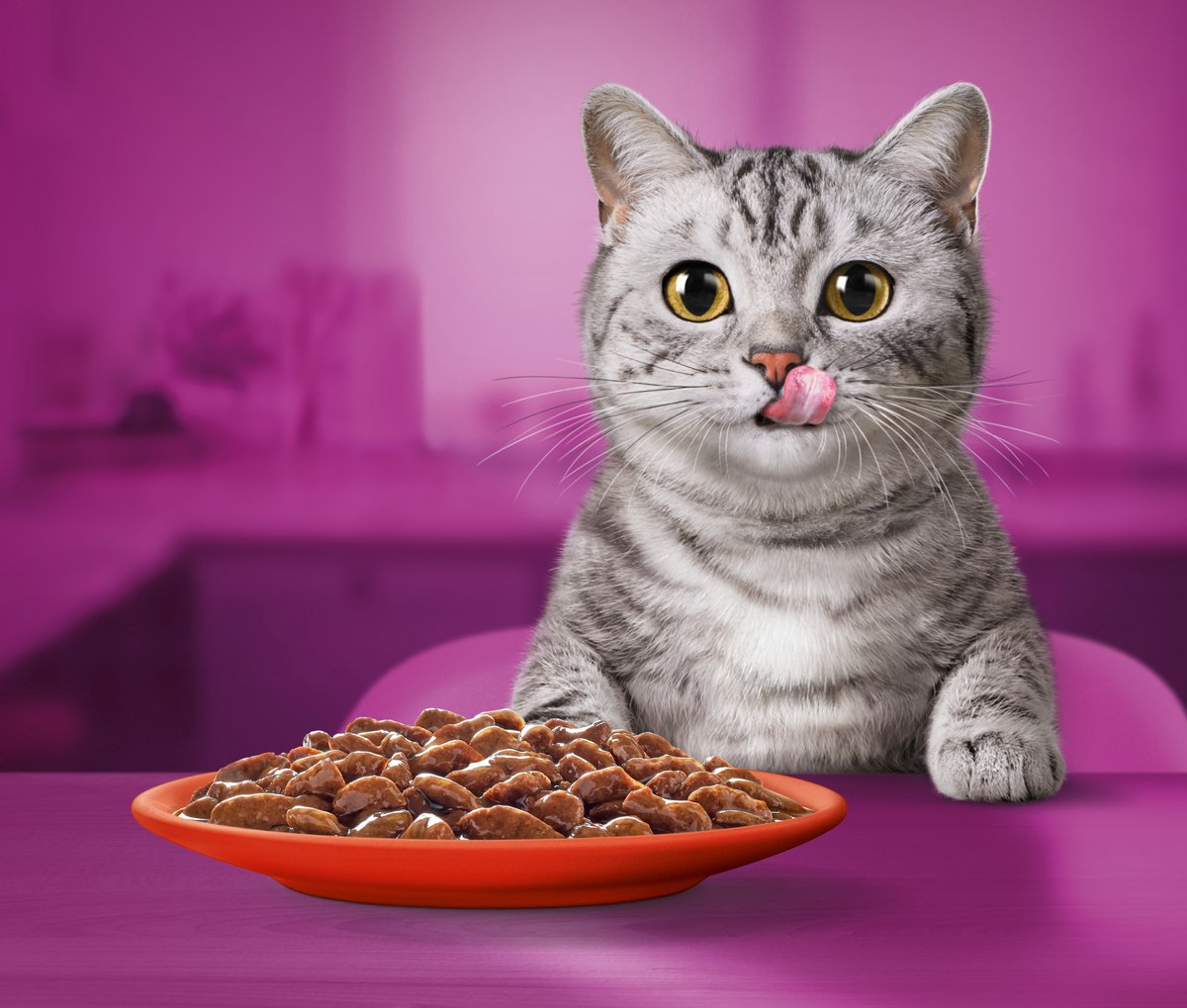 Whiskas Kattenvoer - Adult 1+ - Classic Selectie in Saus - 40x85g