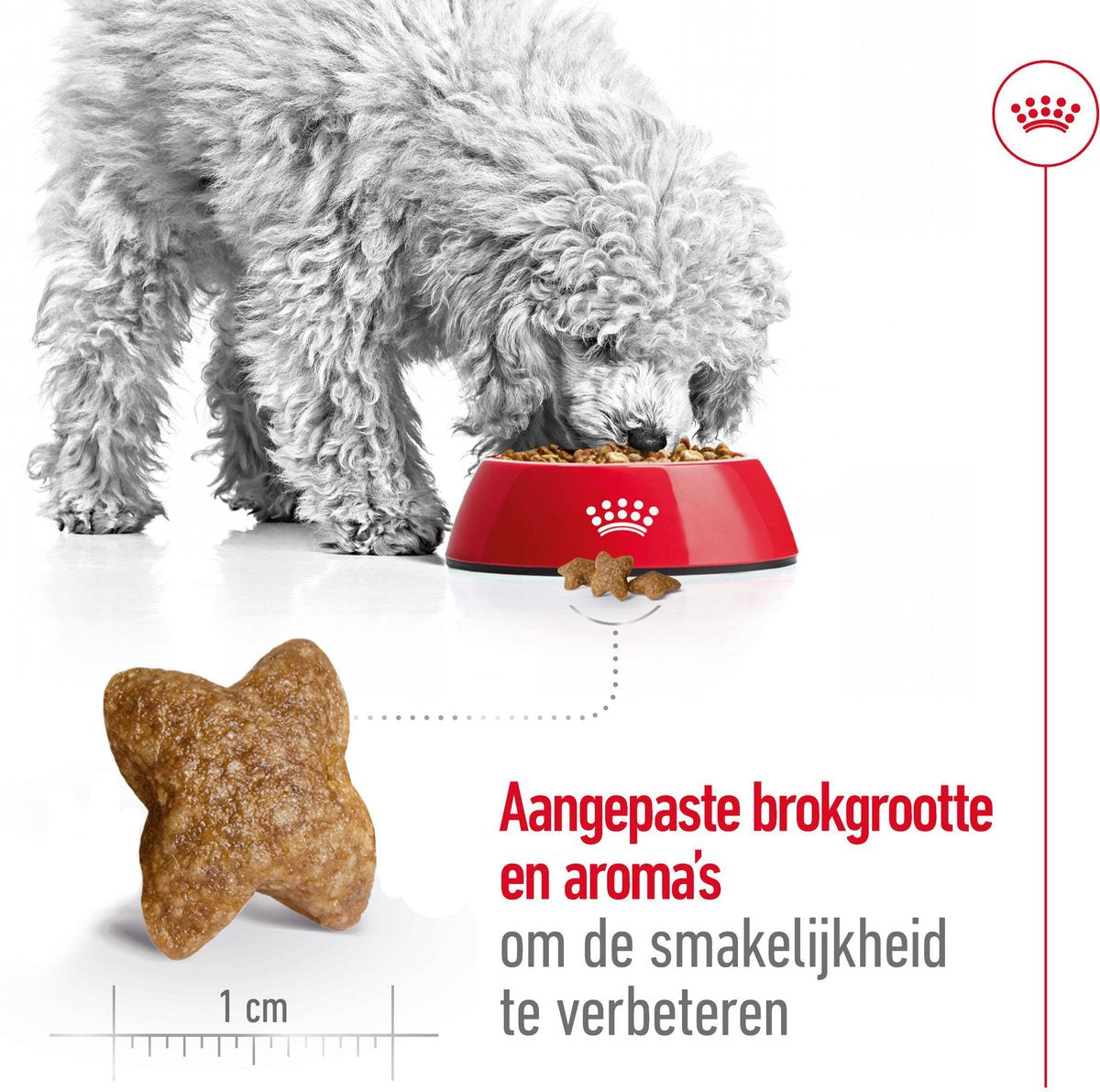 Royal Canin Mini Adult - 8 kg - Hondenvoer