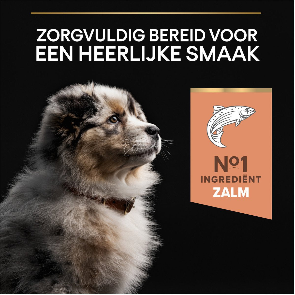 PURINA® PRO PLAN® Sensitive Skin Medium Puppy - Hondenvoer - Zalm - 12 kg