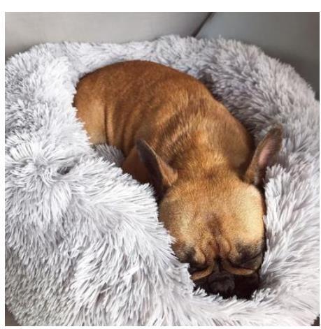 Pluche ronde hondenmand voor kleine honden - kalmerende, zelfverwarmende nestmat voor huisdieren