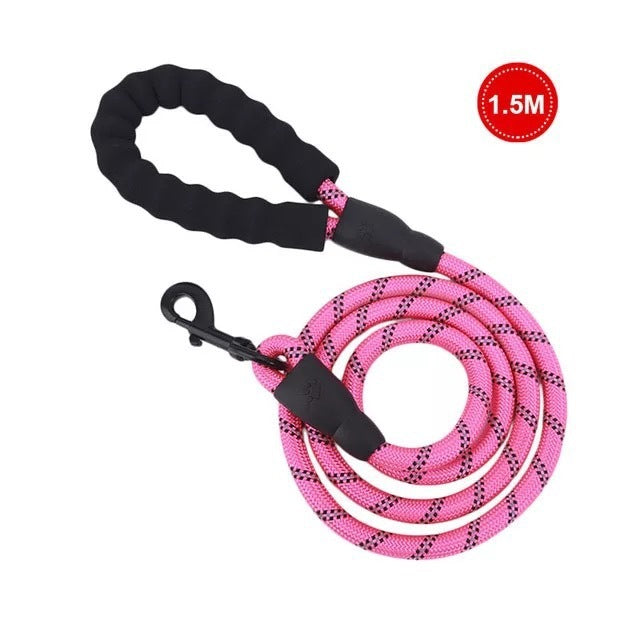 Kleine middelgrote hond met lichtgevende riem en ketting voor puppy's
