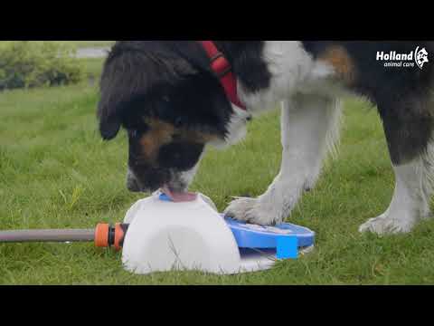 CoolPets Splash Waterfontein