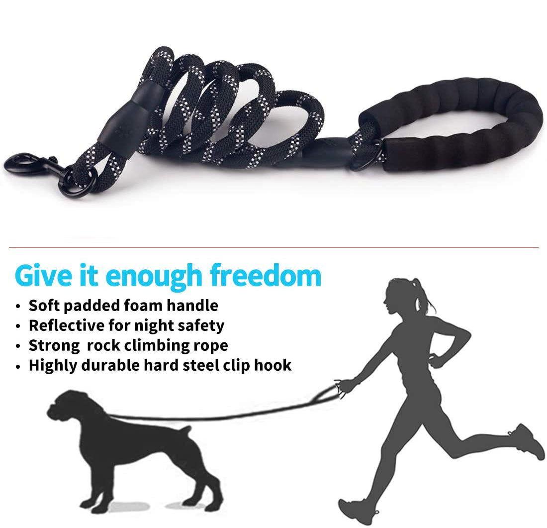 Kleine middelgrote hond met lichtgevende riem en ketting voor puppy's