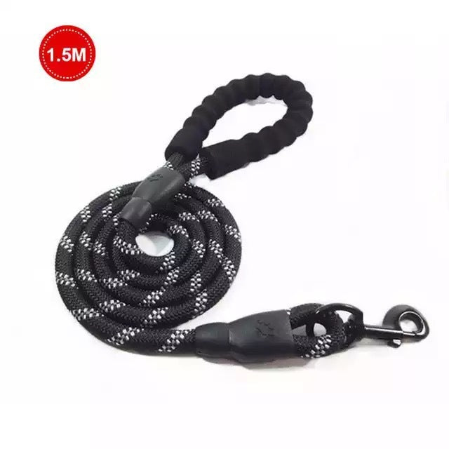 Kleine middelgrote hond met lichtgevende riem en ketting voor puppy's