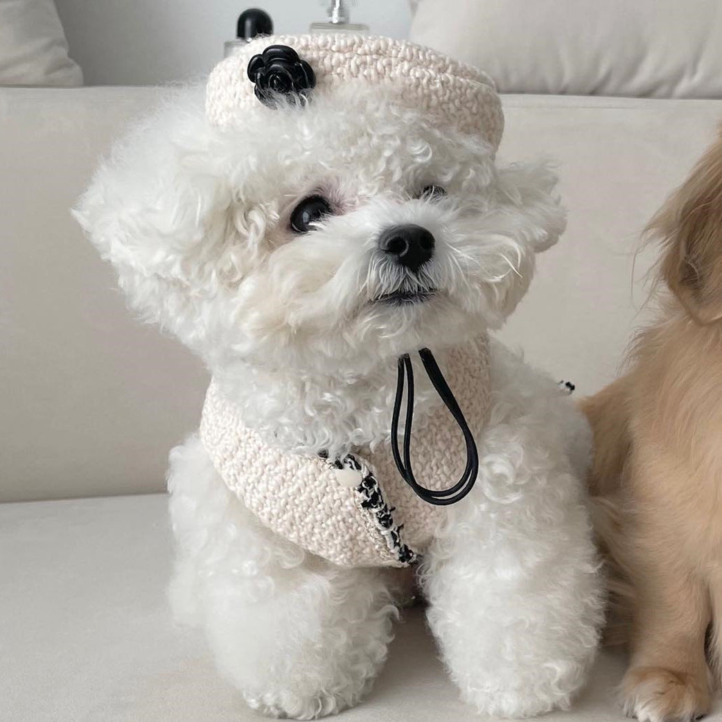 Huisdier Hond Kat Accessoires Gebreide Muts