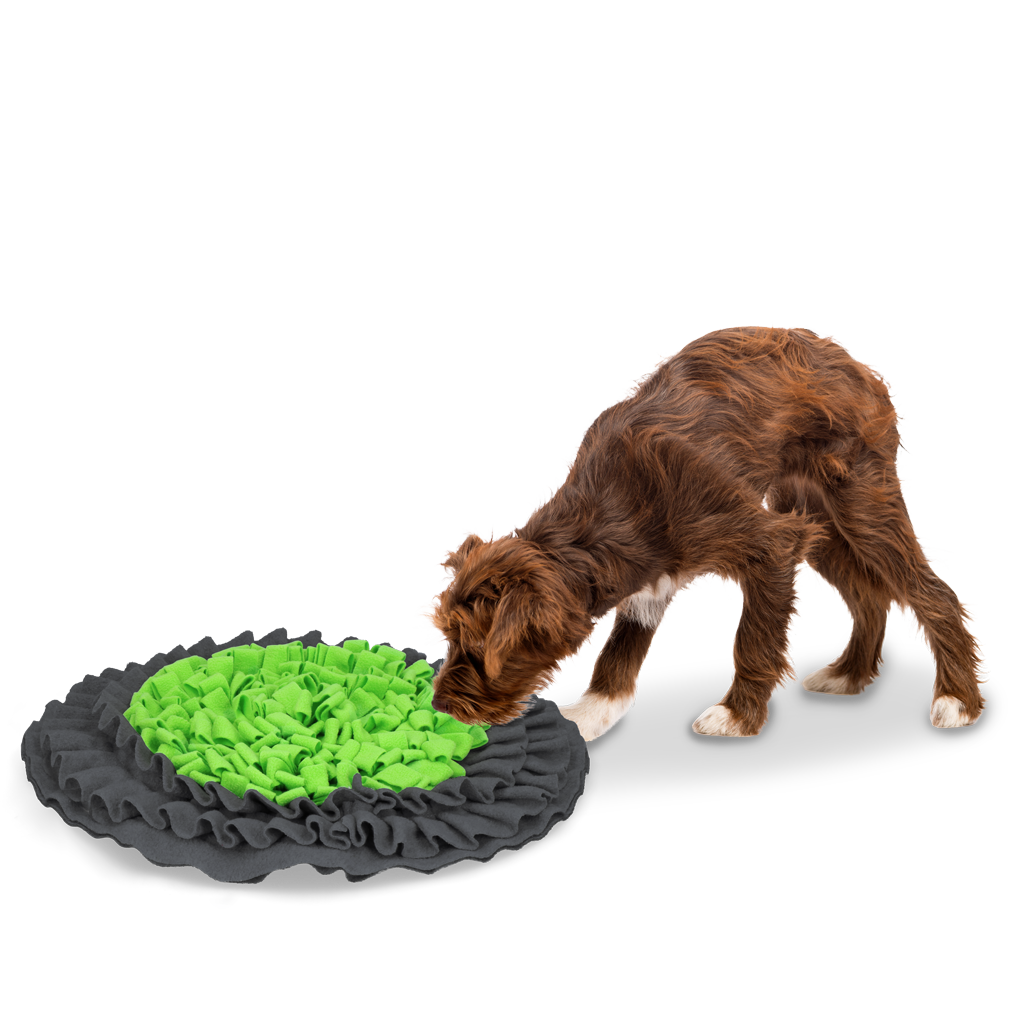Eet langzaam, leef langer, snuffelmat