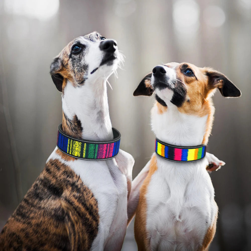 Nylon Hondenhalsband Reflecterend