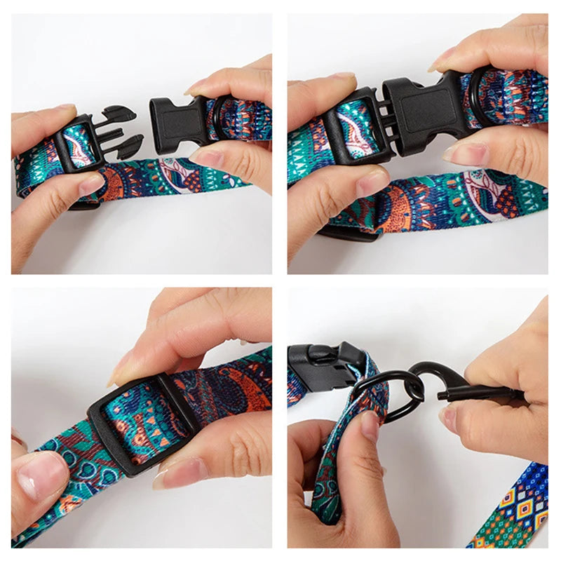 Set van halsband en riem voor huisdieren