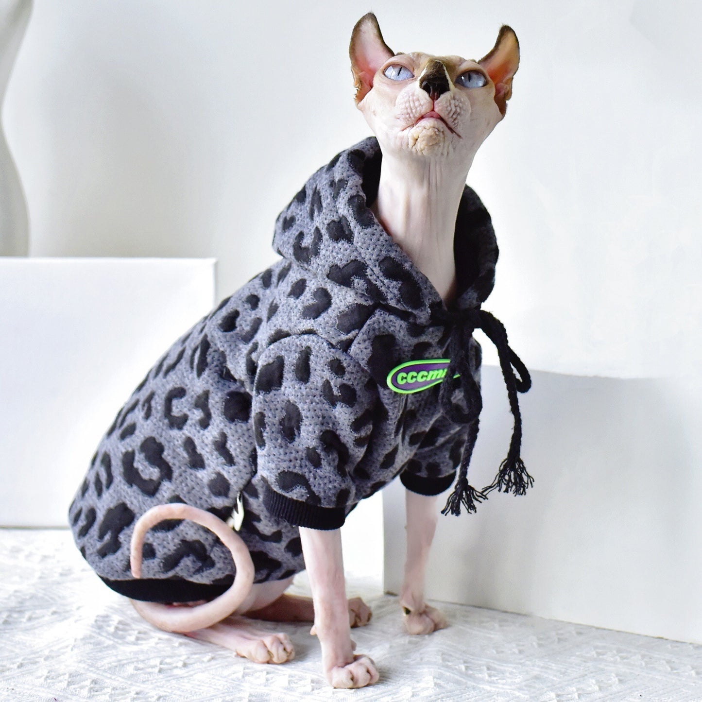 Lichte katoenen camouflage trui voor haarloze kat