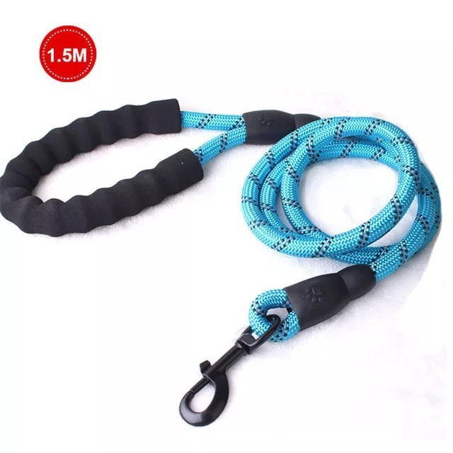 Kleine middelgrote hond met lichtgevende riem en ketting voor puppy's