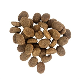 EXCELLENT ADULT LAM / RIJST Hondenvoer 15 KG