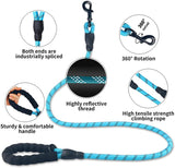 Kleine middelgrote hond met lichtgevende riem en ketting voor puppy's