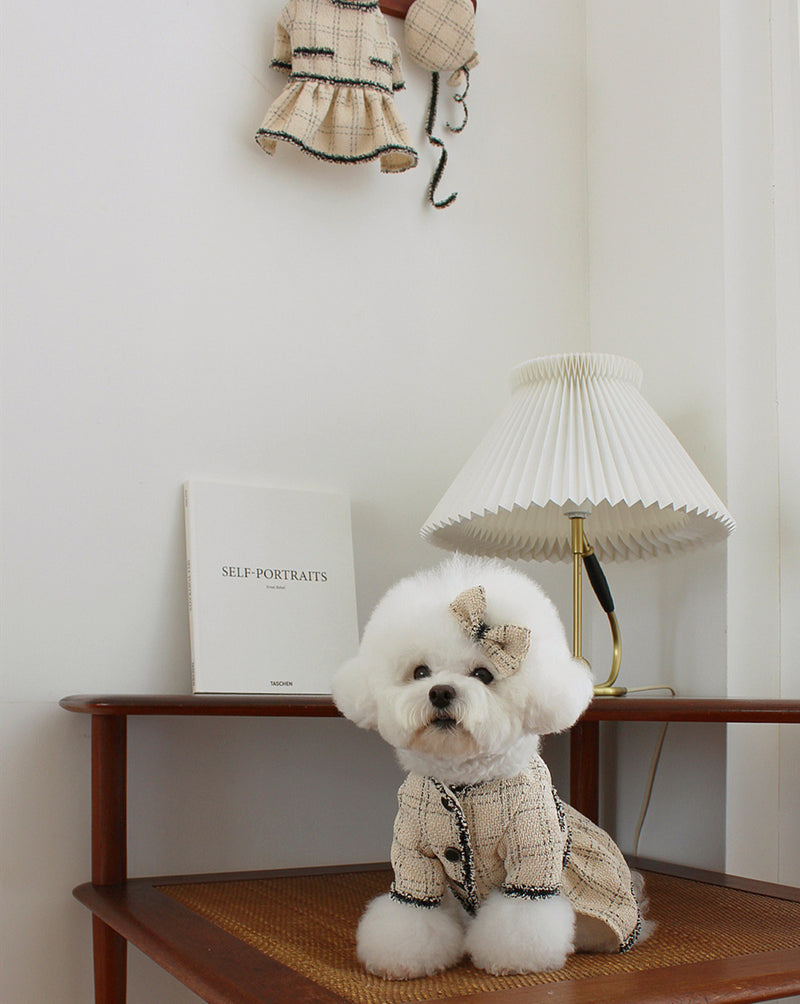 Huisdier Kat Hond Kleding Prinses Rok