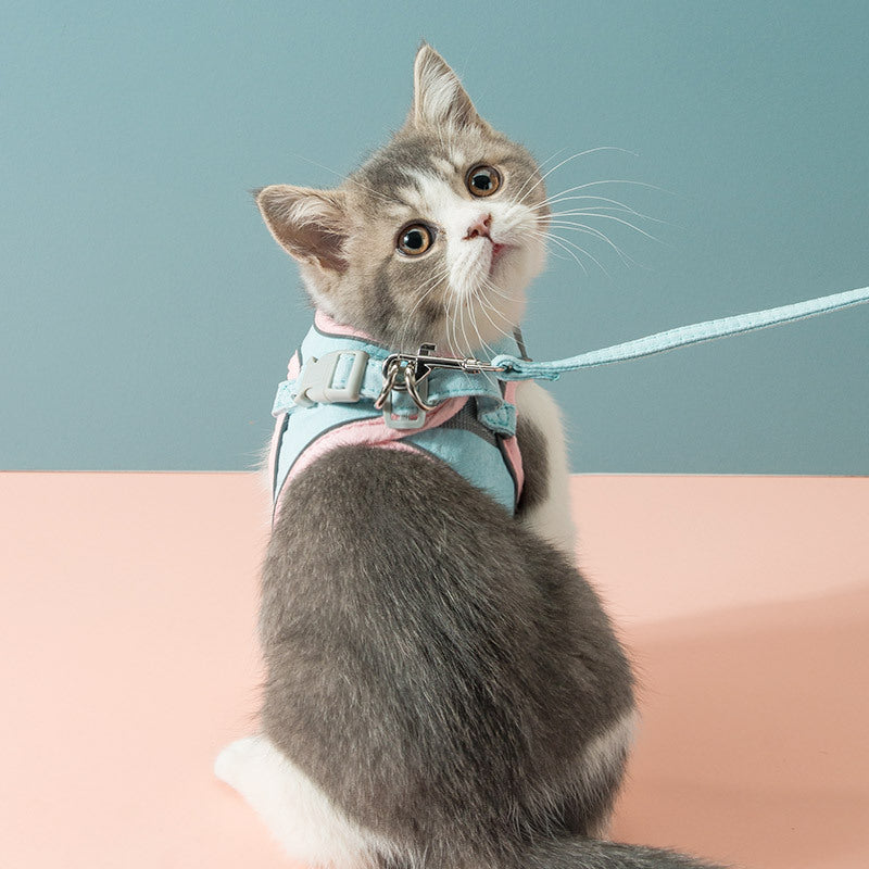 Borstband met trekkoord voor katten om te voorkomen dat ze loskomen Huisdieren Kattenband