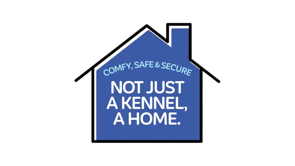 Petmate 2 Door Kennel Wit XS