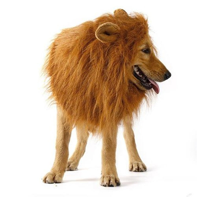 Schattige huisdier cosplay kleding transfiguratie kostuum leeuw manen winter warme pruik kat grote hond feestdecoratie met oor huisdier kleding