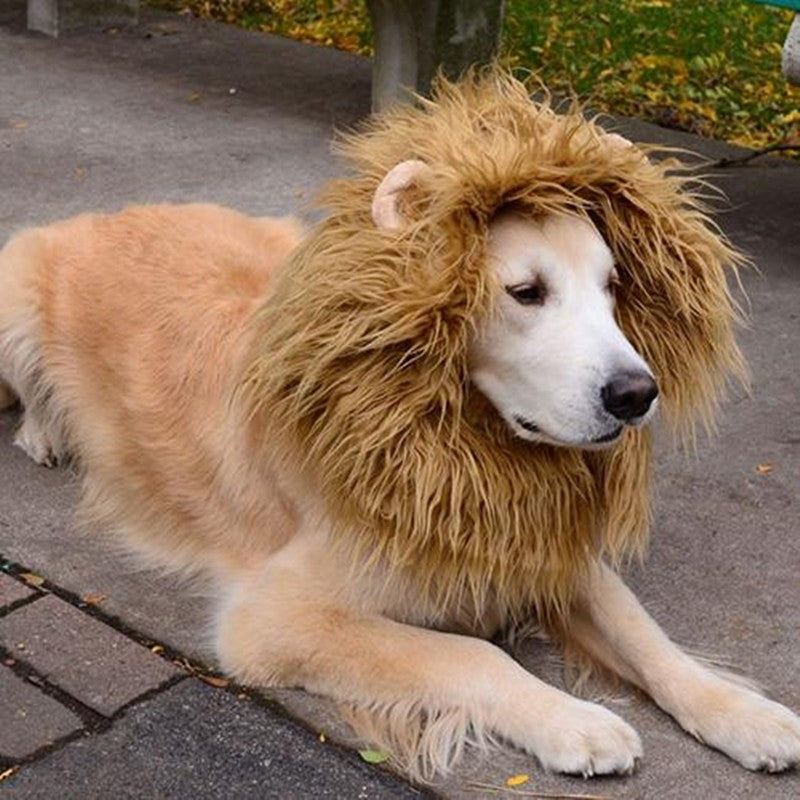 Schattige huisdier cosplay kleding transfiguratie kostuum leeuw manen winter warme pruik kat grote hond feestdecoratie met oor huisdier kleding