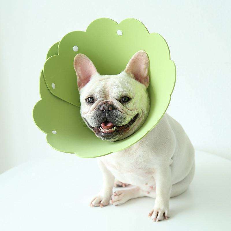 Obroża ochronna dla zwierząt Sunflower Modeling, antypoślizgowa osłona głowy