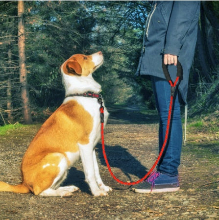 Reflecterende hondenriem van nylon, hondenriem met touw voor kleine, middelgrote en grote honden, wandeltraining, huisdierbenodigdheden