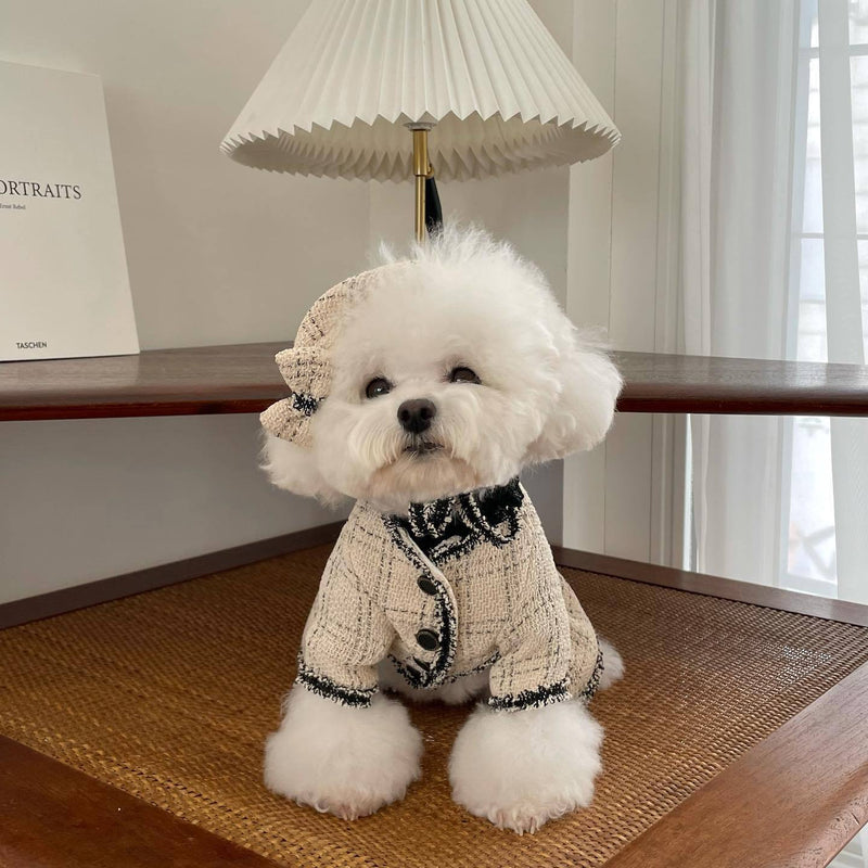 Huisdier Kat Hond Kleding Prinses Rok