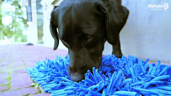 Eat Slow Live Longer Play Mat