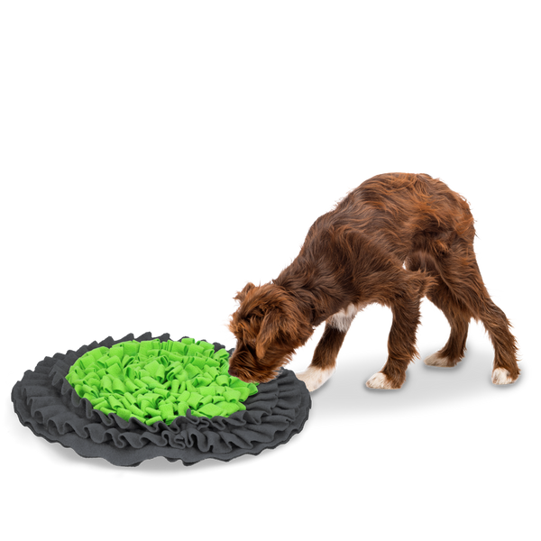 Eat Slow Live Longer Snuffle Mat