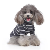 Summer Clothes For Dogs Cat