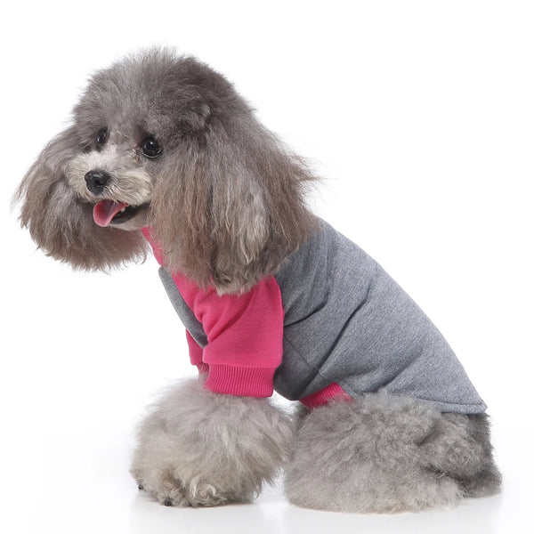 Zomerkleding voor honden en katten