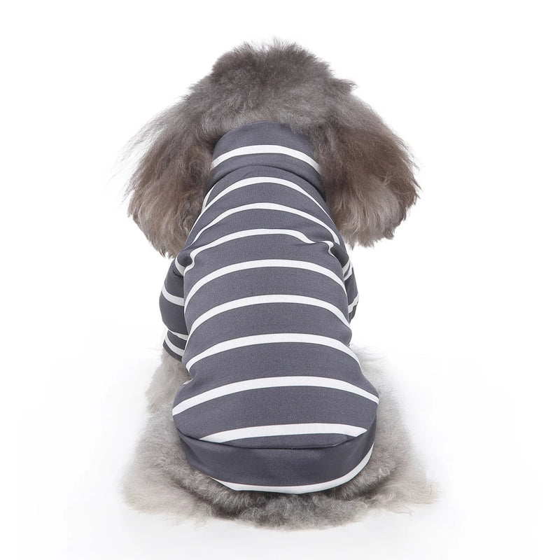 Summer Clothes For Dogs Cat