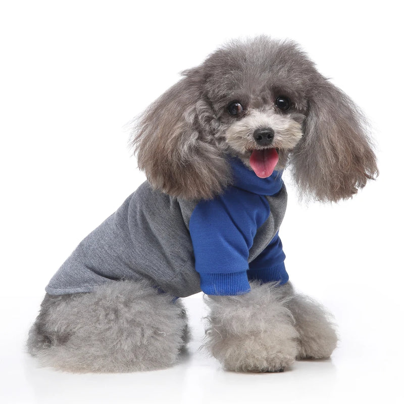 Summer Clothes For Dogs Cat