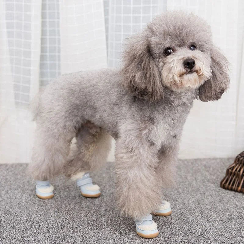 Winter Dog Boots - Non-Slip 4pcs