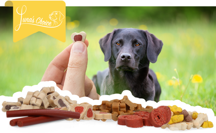 Luna's Choice Trainer Mix Zalmstaafjes
