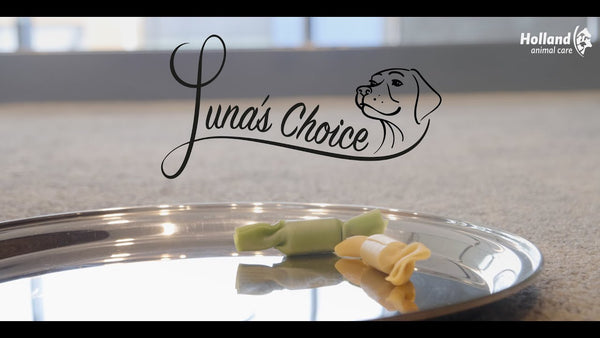 Luna's Choice Trainer Mix Zalmstaafjes