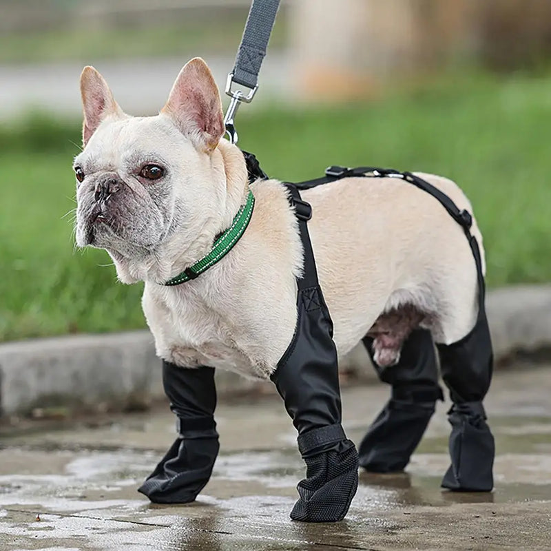 Waterdichte antislip hondenschoenen voor kleine en middelgrote honden