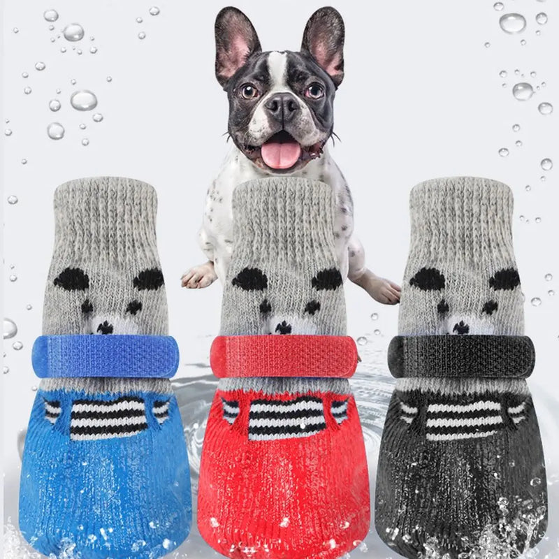 Pet Socks & Rain Boots