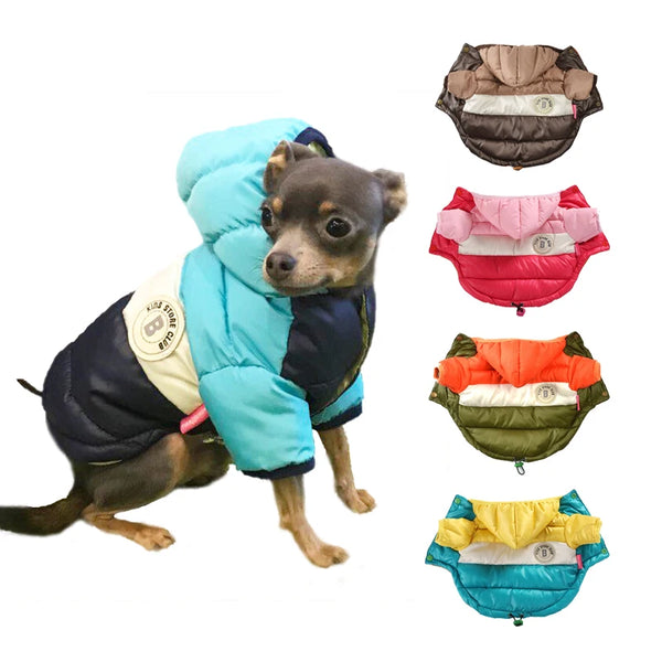 Winter Waterproof Jacket for Small and Medium Dogs