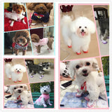 Small Dog Booties 4PCS Cute Breathable Shoes