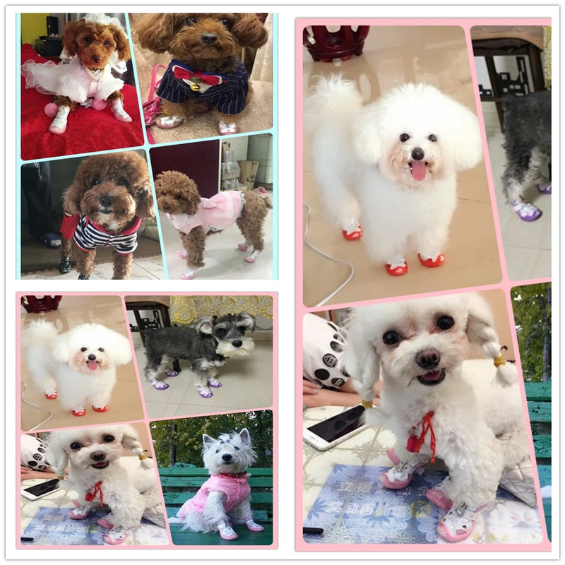 Small Dog Booties 4PCS Cute Breathable Shoes