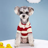 Summer Striped Polo Shirt for Dogs and Cats