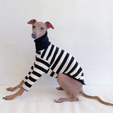 Pet Black White Striped Clothing New Italian Greyhound