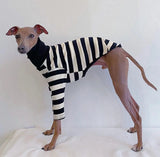 Pet Black White Striped Clothing New Italian Greyhound