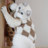 Winter Pet Clothes Coats Sweatshirt