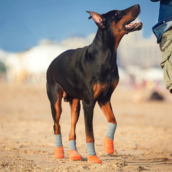 Waterproof Non-Slip Pet Socks 4pcs/set with Rubber Sole