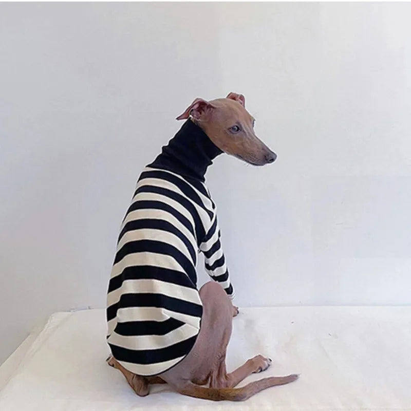 Pet Black White Striped Clothing New Italian Greyhound