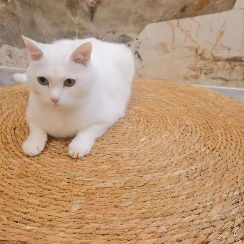 Ronde handgeweven kattenkrabmat van rotan