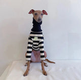 Pet Black White Striped Clothing New Italian Greyhound