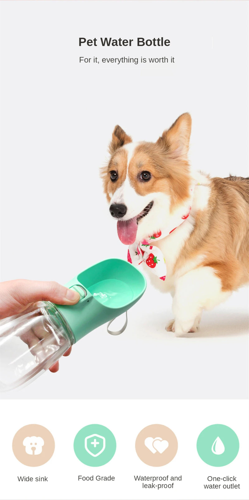 Dog Water Bottle