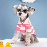 Summer Striped Polo Shirt for Dogs and Cats