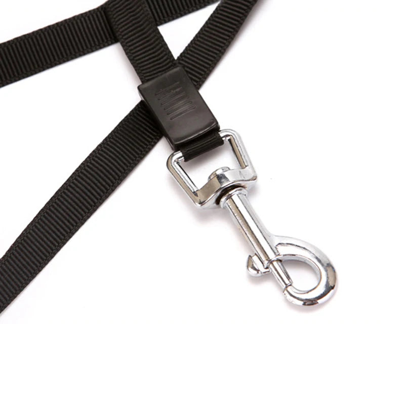 Dog Leash 5m