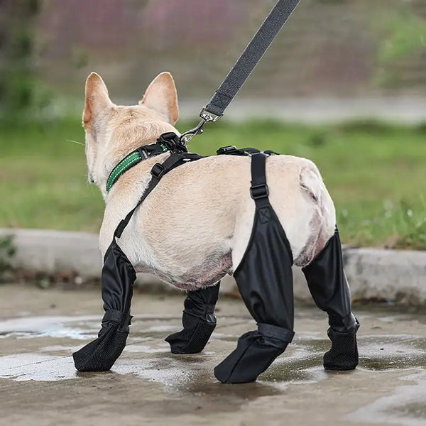 Waterdichte antislip hondenschoenen voor kleine en middelgrote honden